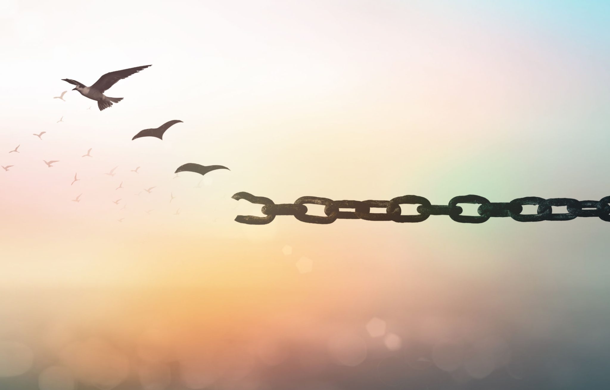 Illinois Expungement Lawyers At The Illinois Expungement Center 